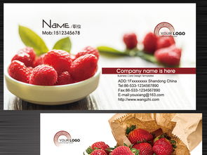 精品水果店果蔬行业名片设计草莓树莓图片素材 高清psd模板下载 7.72MB 茶艺餐饮名片大全