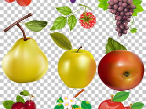 彩色水果各式卡通果蔬免抠PNG素材图片 模板下载 39.94MB 食物饮品 大全 生活工作